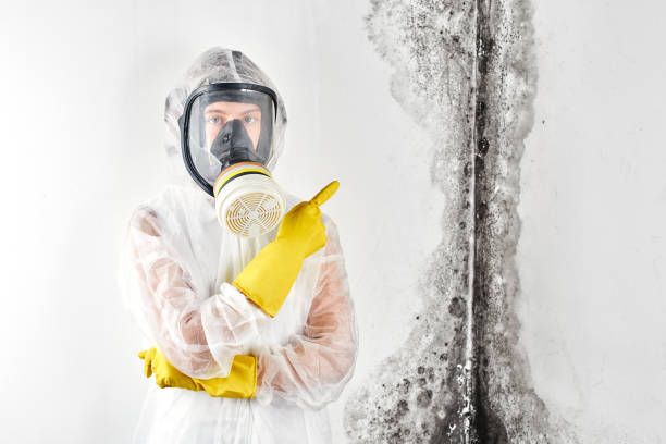 Best Commercial Mold Inspection in Oatfield, OR